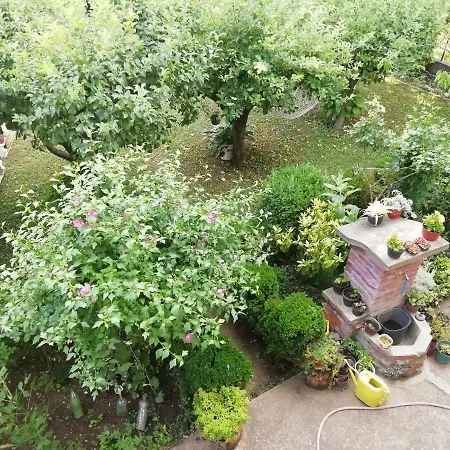 Aviva Apartman Soko Banja