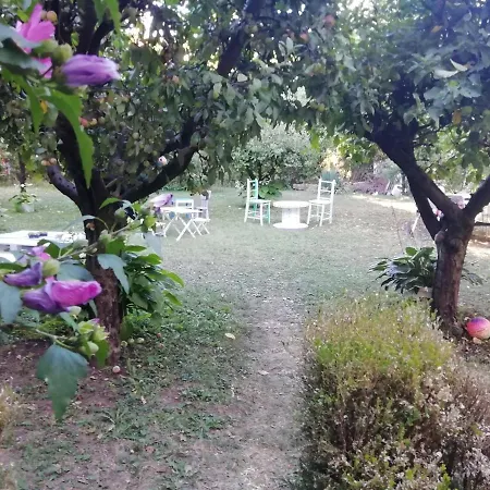 Apartman Aviva Soko Banja