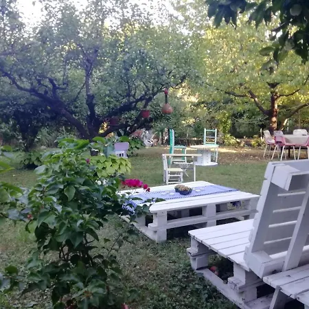 Aviva Apartman Soko Banja